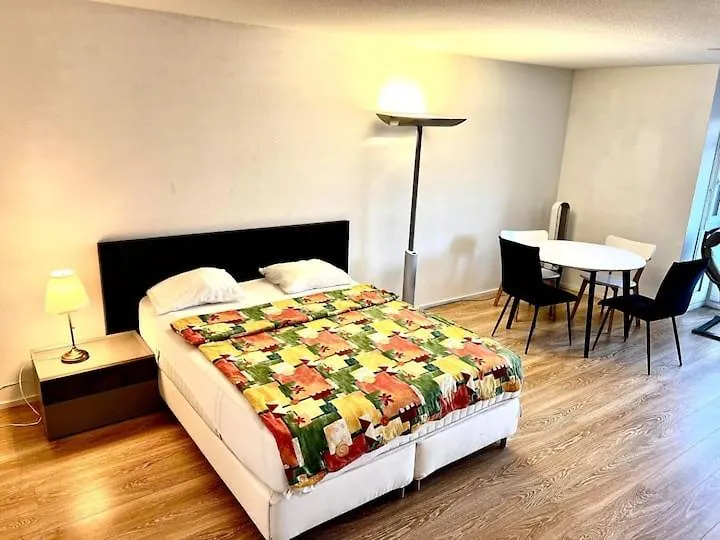 Brand New City Center Downtown Apartment, Zurich Brauer