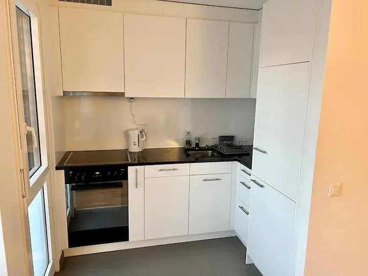 Apartment Brand New City Center Downtown Apartment, Zurich Brauer